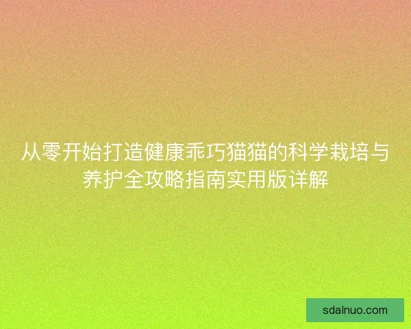 从零开始打造健康乖巧猫猫的科学栽培与养护全攻略指南实用版详解