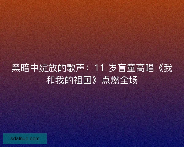 黑暗中绽放的歌声：11 岁盲童高唱《我和我的祖国》点燃全场