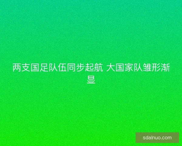 两支国足队伍同步起航 大国家队雏形渐显 两支国足队伍同步起航 大国家队雏形渐显