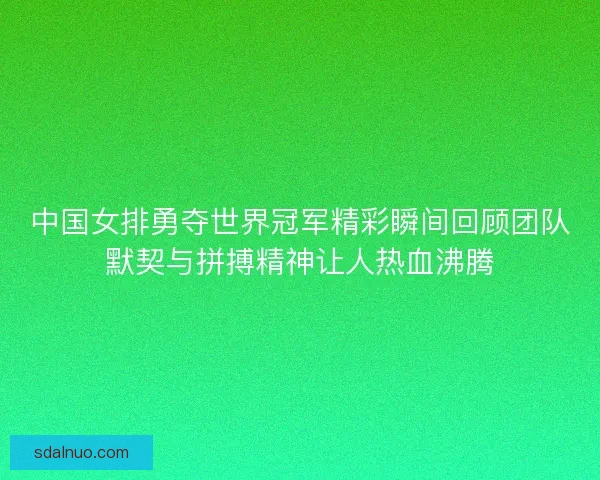 中国女排勇夺世界冠军精彩瞬间回顾团队默契与拼搏精神让人热血沸腾 中国女排勇夺世界冠军精彩瞬间回顾团队默契与拼搏精神让人热血沸腾